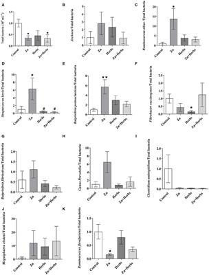 Impact of Zinc and/or Herbal Mixture on Ruminal Fermentation, Microbiota, and Histopathology in Lambs